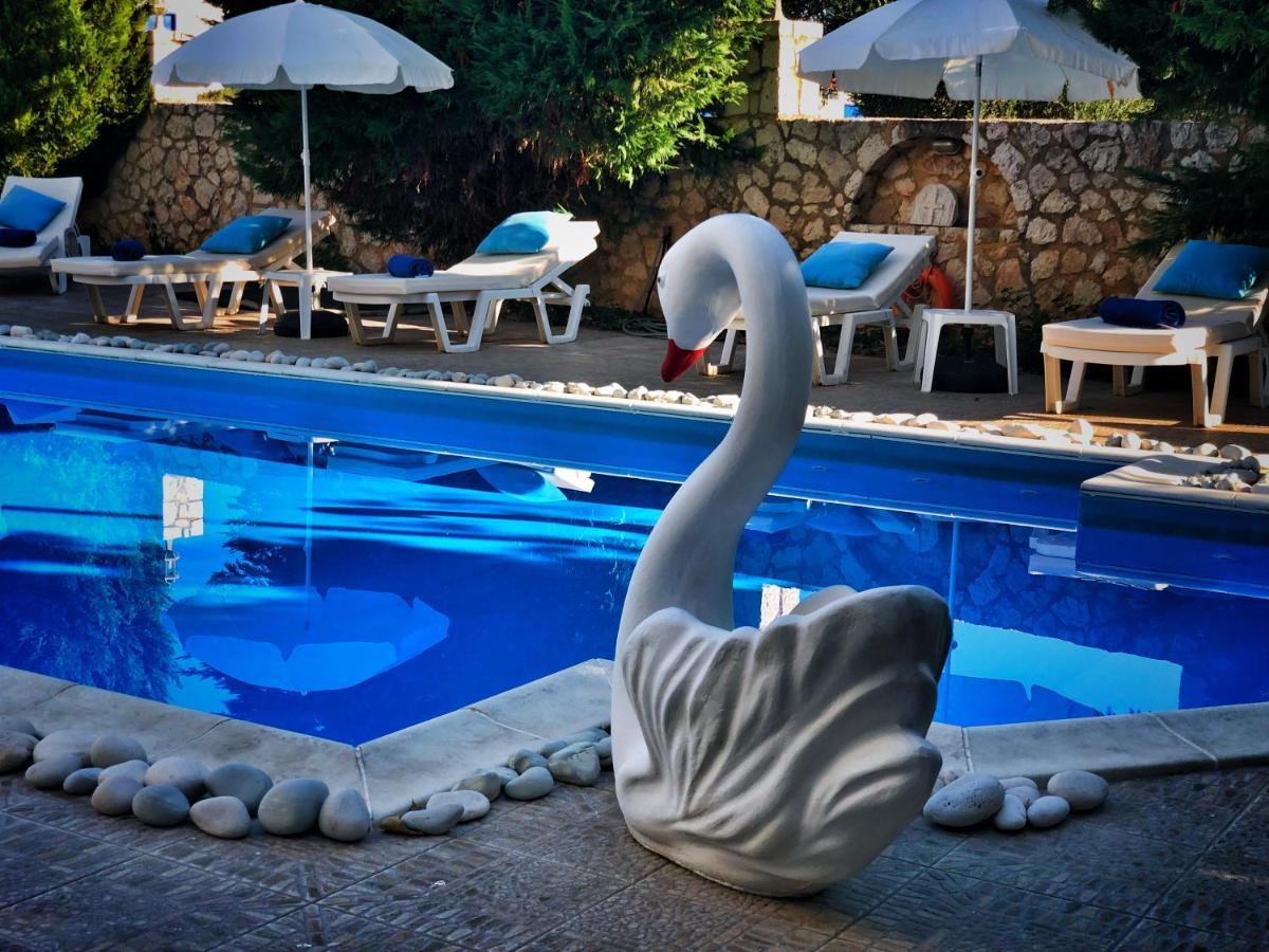 Apollon Palace Kefalonia Metaxáta 外观 照片